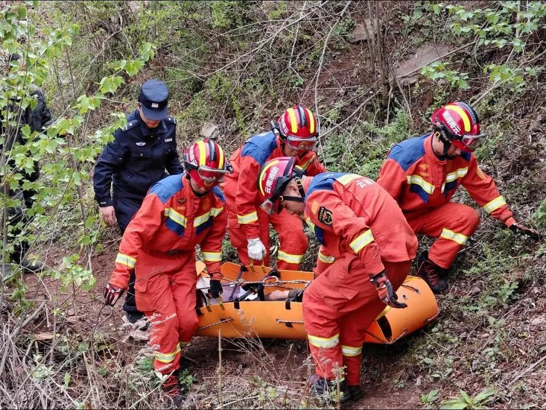 澳门研究生资料2025和教授雨夜爬山坠崖与教授雨夜爬山坠崖的故事