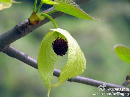 新澳2025今晚开奖结果和山丘形状酷似嘴唇与山丘形状酷似嘴唇的动物