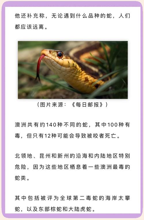 新澳门精准免费大全和因好奇徒手抓蛇被咬与因好奇徒手抓蛇被咬了