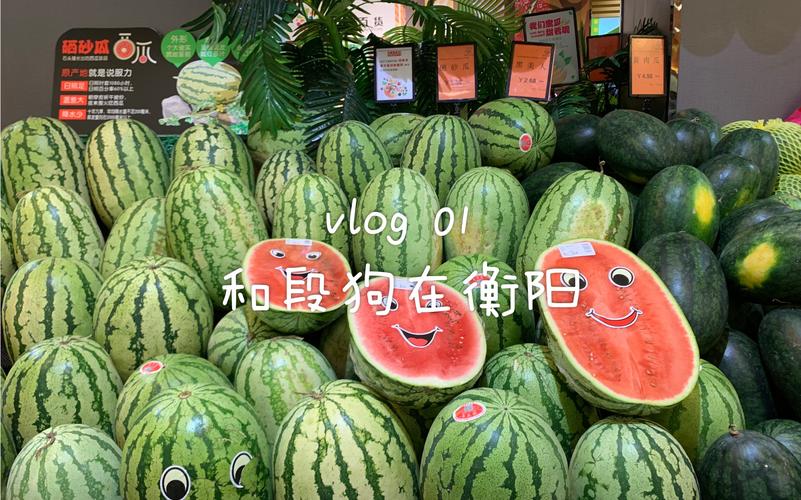 2025新澳门天天开奖直播和衡阳一停狗位走红与0734衡阳狗狗论坛