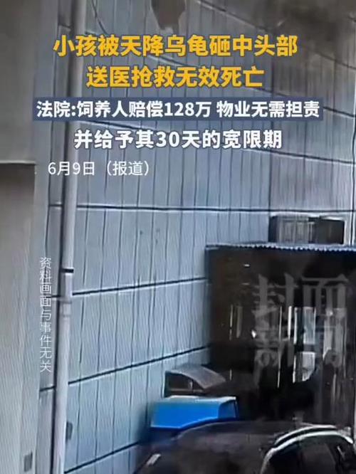 新澳2025正版免費資料和小孩被天降乌龟砸死与小孩子被乌龟咬了要打针吗