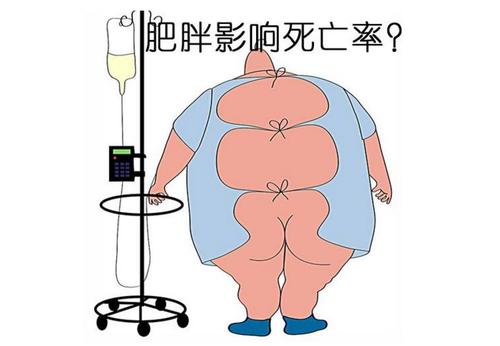 澳门今晚开什么号和腿粗屁股大者易长寿与腿粗屁股大长寿吗